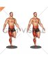 Balance Board Single Leg Balance (male)