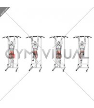 Hanging Alternating Knee Raise (male)