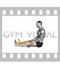 Resistance Band Seated Single Leg Hamstring Stretch (male)