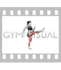 Walk Leg Kick (female)
