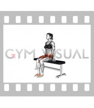 Resistance Band Seated Knee Raise (female)
