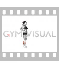 Calf Forward Jump (female)