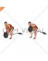 Lever Bent over Row (plate loaded)