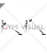 Landmine Single Arm Press (female)