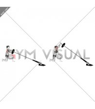 Landmine Half Kneeling Shoulders Press (female)