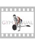 Lever Bent over Row (plate loaded)