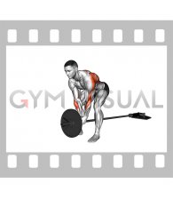 Lever Bent over Row (plate loaded)