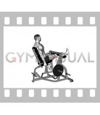 Lever Seated Single Leg Curl (plate loaded) (male)