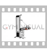 Cable Bent Over Overhead Triceps Extension Straight Bar (male)