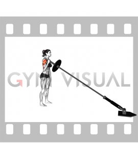 Landmine Single Arm Press (female)