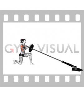 Landmine Kneeling One Arm Shoulder Press (female)