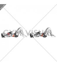 Lying Pelvic Tilt (female)