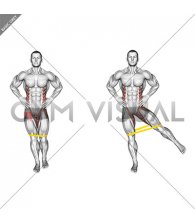 Resistance Band Standing Balance Hip Abduction (male)