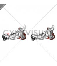 Lying Pelvic Floor Relaxation and Deep Breathing (female)