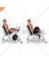 Lever Seated Leg Curl (plate loaded) (male)