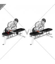 Dumbbell Wrist Supination