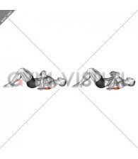 Lying Single Arm Triceps Stretch (male)