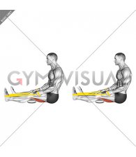 Resistance Band Seated Single Leg Hamstring Stretch (male)