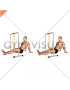 Resistance Band Seated Single Leg Knee Extension (male)