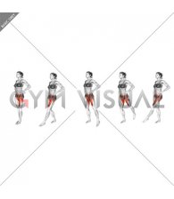 Standing Single Leg Front Back Side to Side Toe Tap (female)