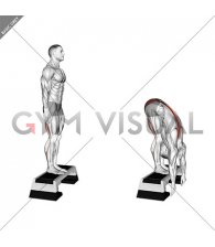 Bodyweight Jefferson Curl (male)