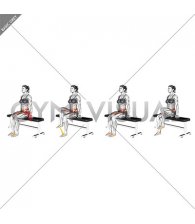 Resistance Band Seated Knee Raise (female)