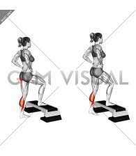 Single Leg Calf Jump StepBox Supported (female)