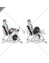 Lever Seated Single Leg Curl (plate loaded) (male)