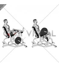 Lever Seated Single Leg Curl (plate loaded) (male)