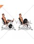 Lever Seated Single Leg Curl (plate loaded) (male)