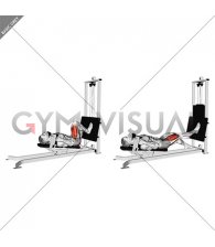 Sled Lying Single Leg Squat