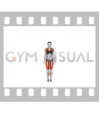 Jumping Jack (female)