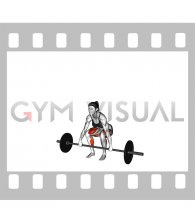 Barbell Deadlift (female)