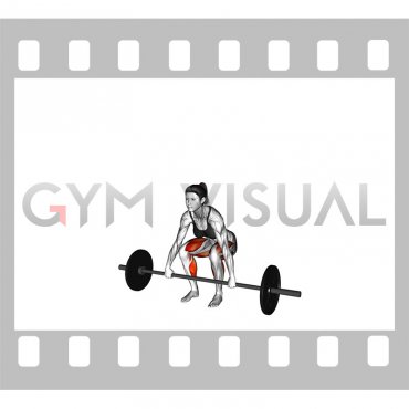Barbell Deadlift (female)