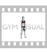 Dumbbell Waiter Biceps Curl (female)