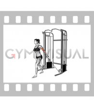 Cable Unilateral Bicep Curl (female)