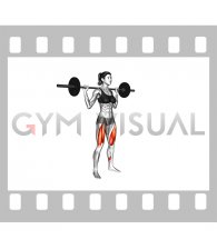 Barbell Pause Full Squat (female)