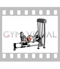 Lever Hip Thrust (male)