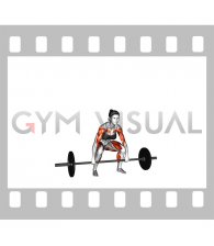 Barbell Clean Pull (female)