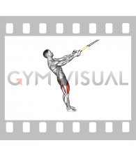 Suspender Squat (male)