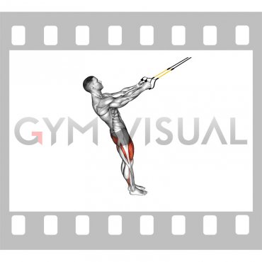 Suspender Squat (male)