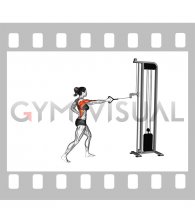 Cable Split Stance Single Arm Row (female)