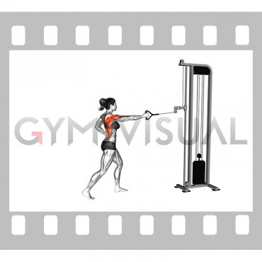 Cable Split Stance Single Arm Row (female)