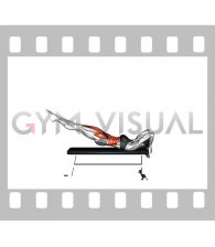 Leg Raise Dragon Flag (female)