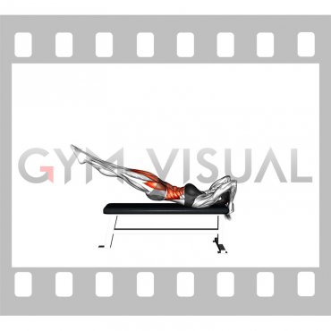 Leg Raise Dragon Flag (female)