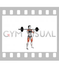 Barbell Thruster (female)
