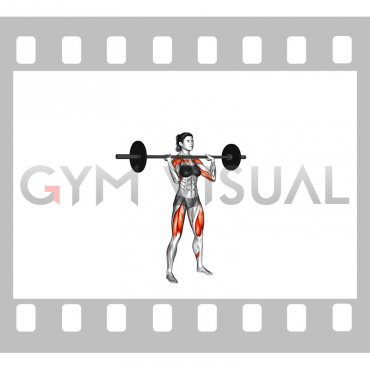 Barbell Thruster (female)