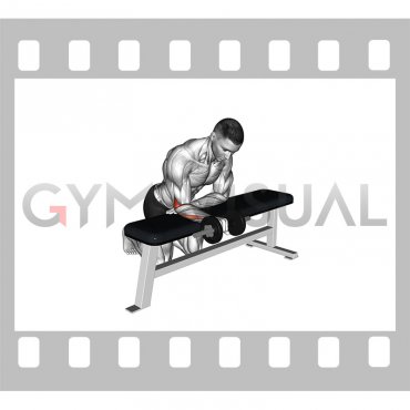Dumbbell Wrist Rotation