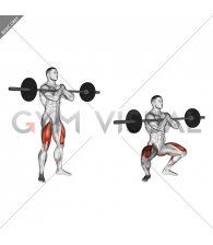 Barbell Zercher Squat