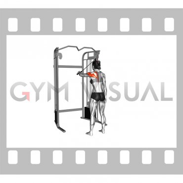 Cable 45 degrees Single Arm Reverse Fly (female)